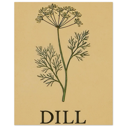 Frukter Dill Herb Botanical Print – Timeless Kitchen Wall Art on Premium Semi-Gloss Paper