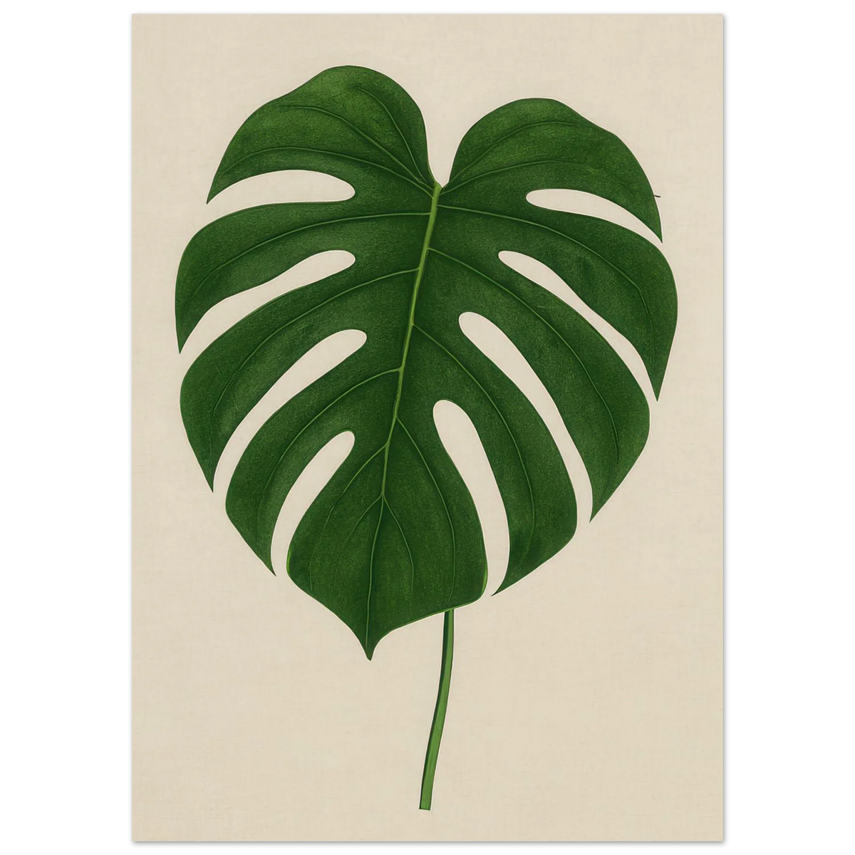 Monstera Elegans: Frukter Botanical Print - Naturens Skönhet för ditt Hem
