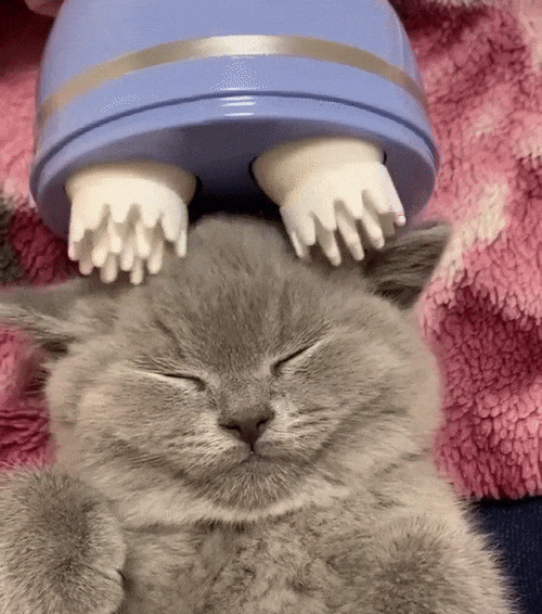 Elektrisk kattmassage