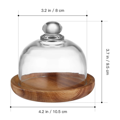Mini Glass Cake Dome