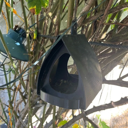 Hanging Bird Feeder