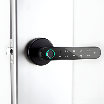 Fingerprint Lever Door Handle with Key Backup