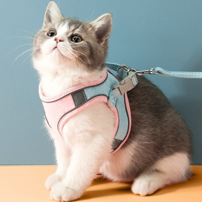 Kattvästsele koppel set