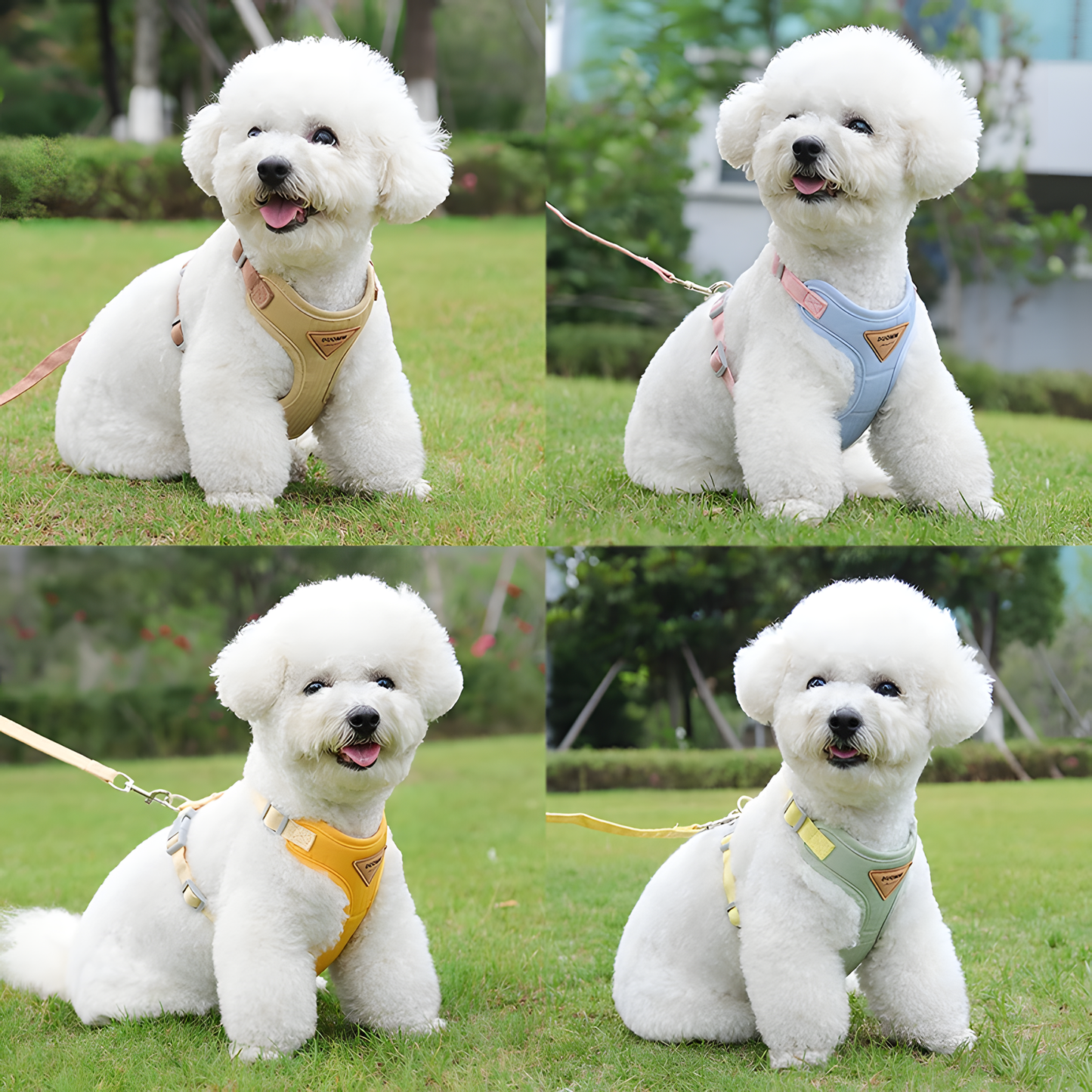 Adjustable Cat Vest Harness