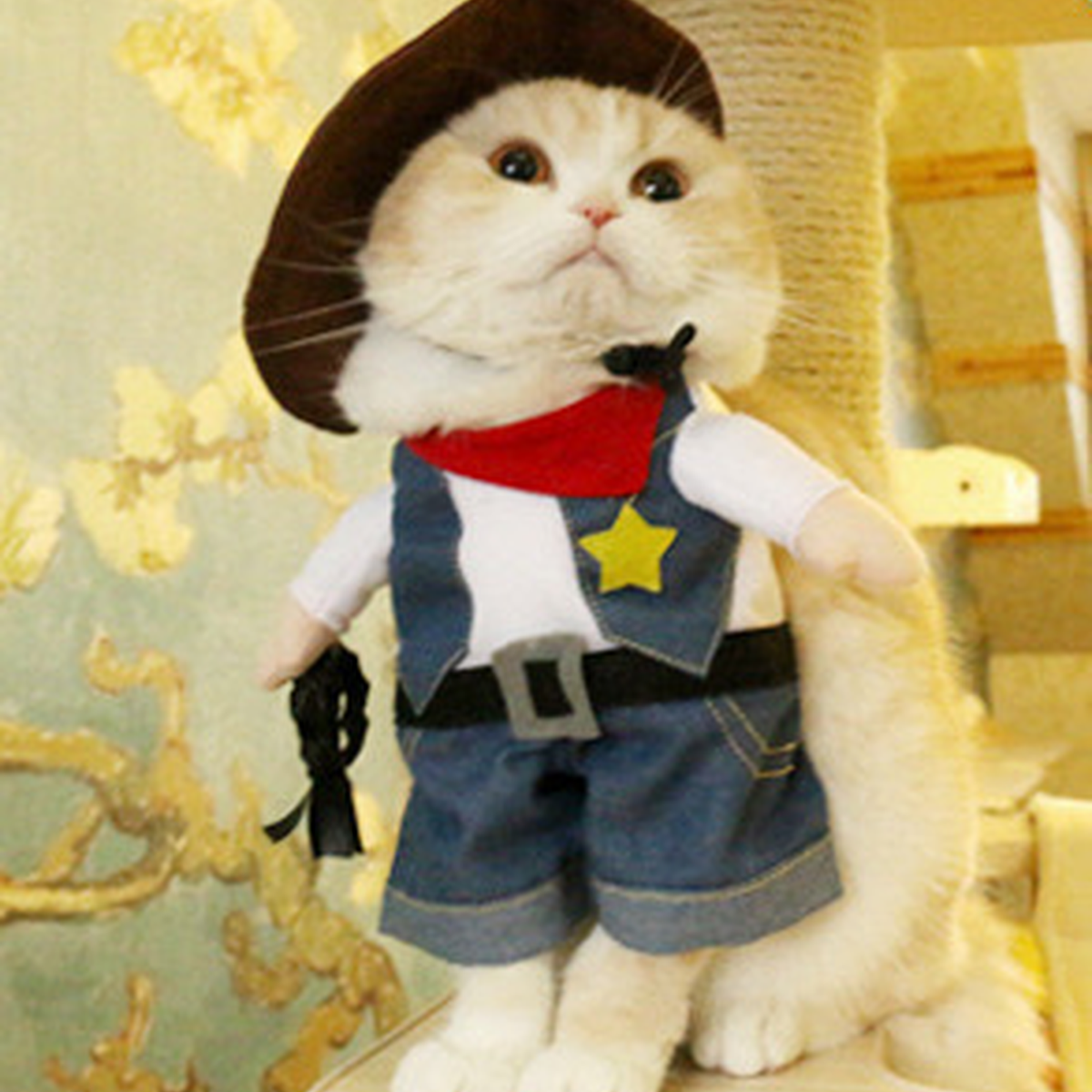Pet Halloween Costume