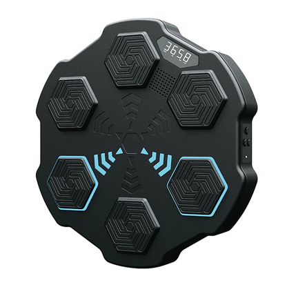 Kids Bluetooth Boxing Target