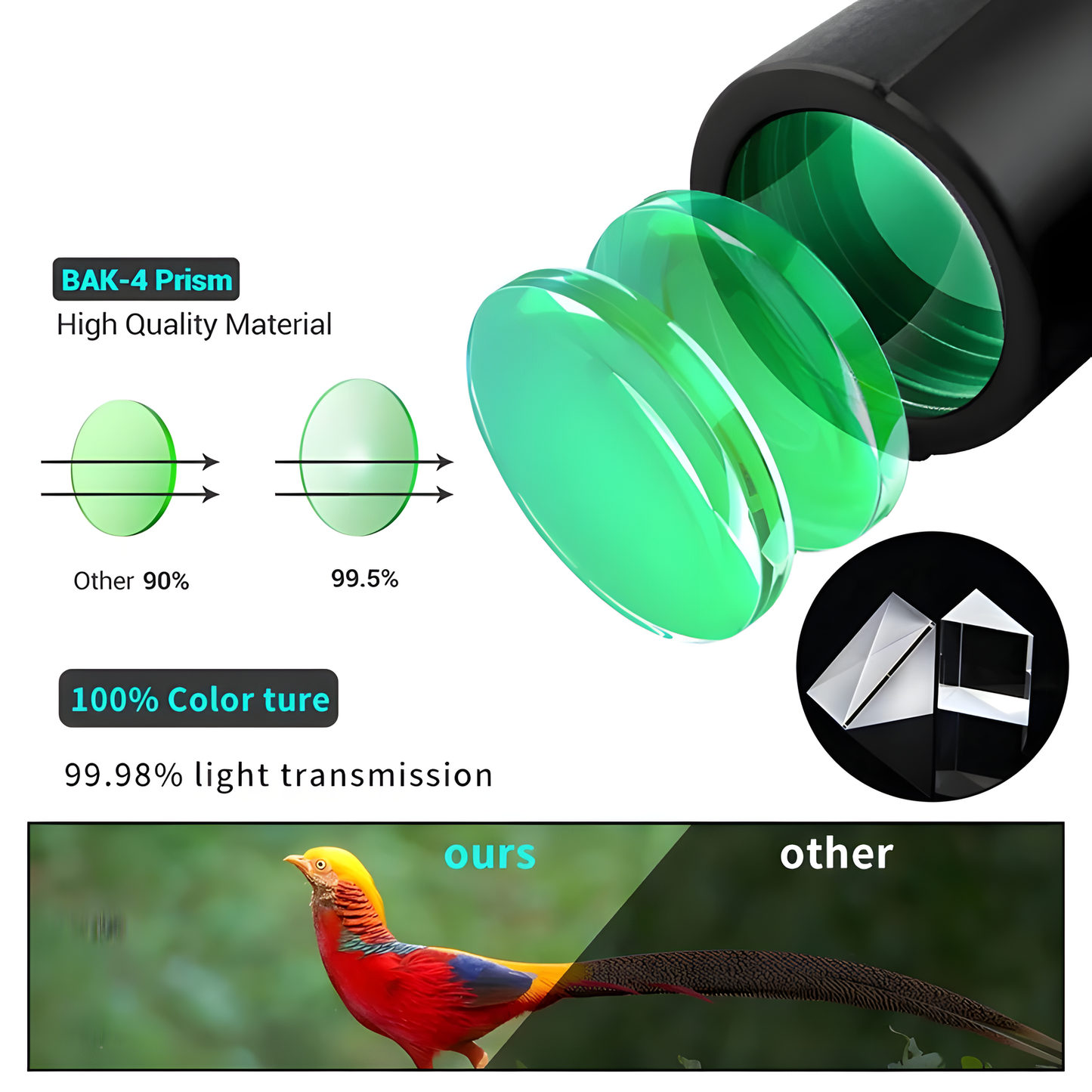 12x42 Binoculars