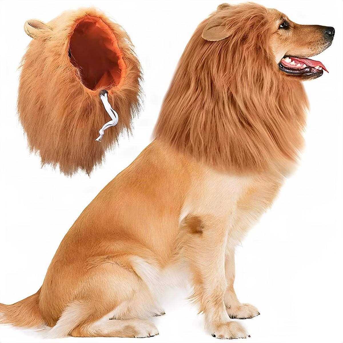 Dog Lion Mane Costume
