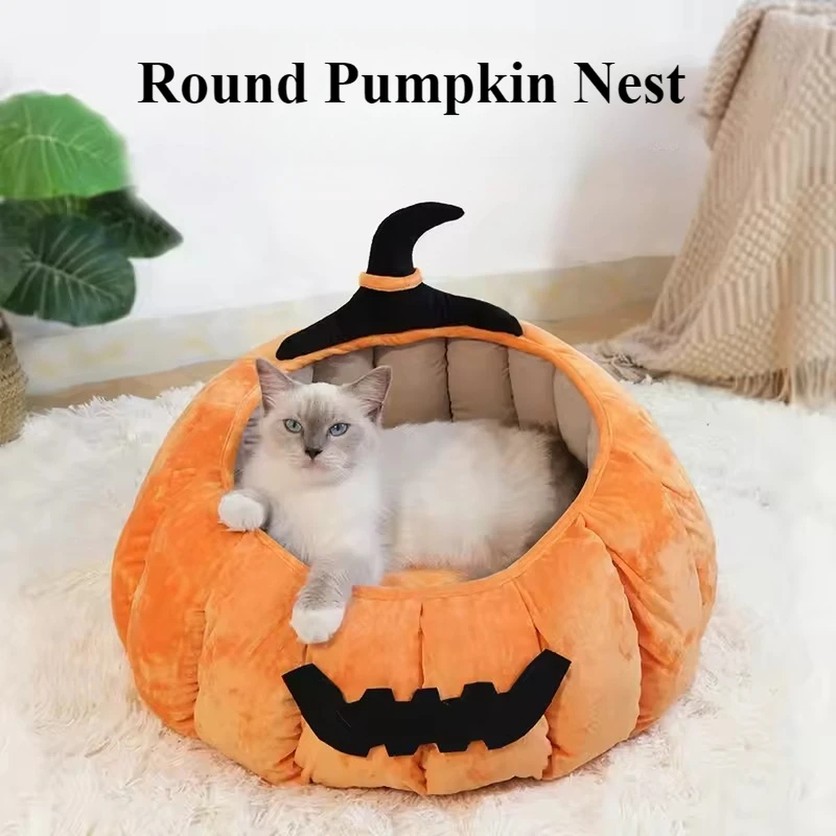 Pumpkin Cat Bed