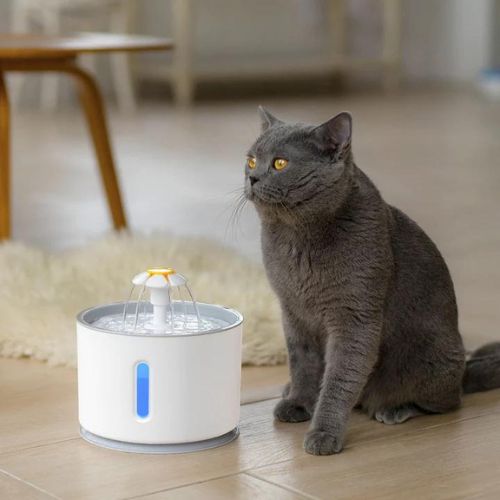 Automatisk kattvattenfontän