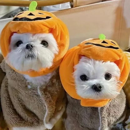 Plush Pumpkin Pet Hat
