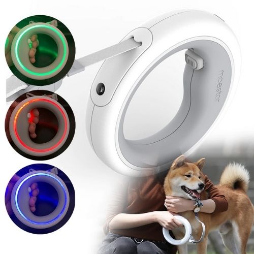 Hundkoppelring LED