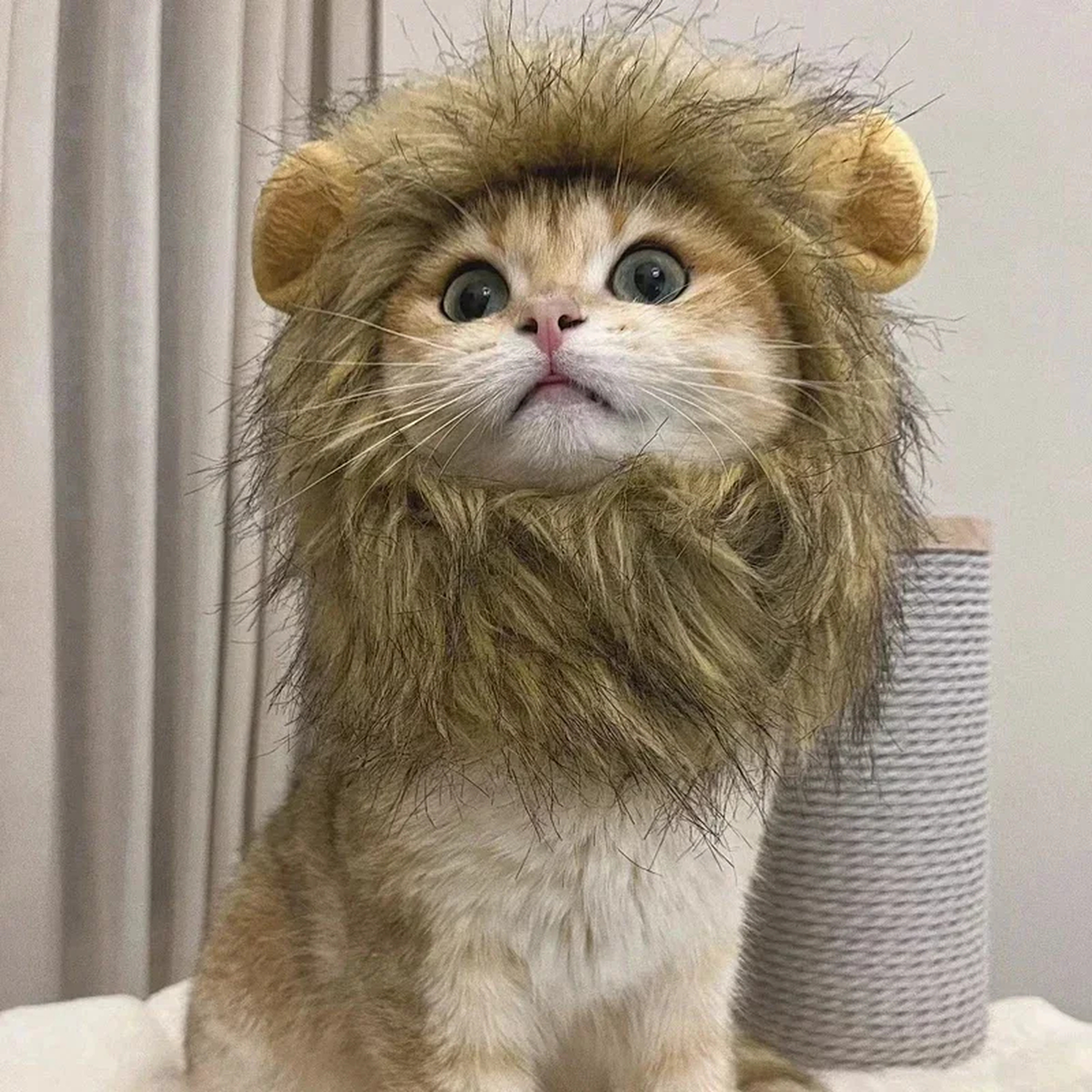 Lion Costume Hat for Pets
