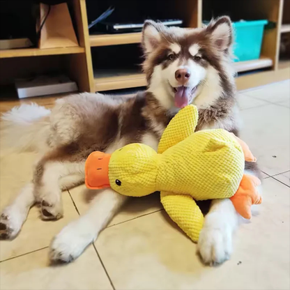 Squeaky Duck Plush Dog Toy