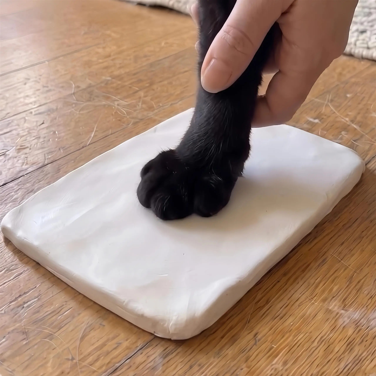 Pet Paw or Nose Print Frame