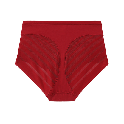 Tummy-Control Mesh Briefs