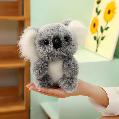 Koala Cuddle Plush Toy
