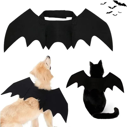 Pet Bat Wings
