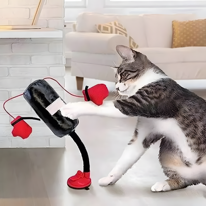 Interactive Cat Boxing Toy