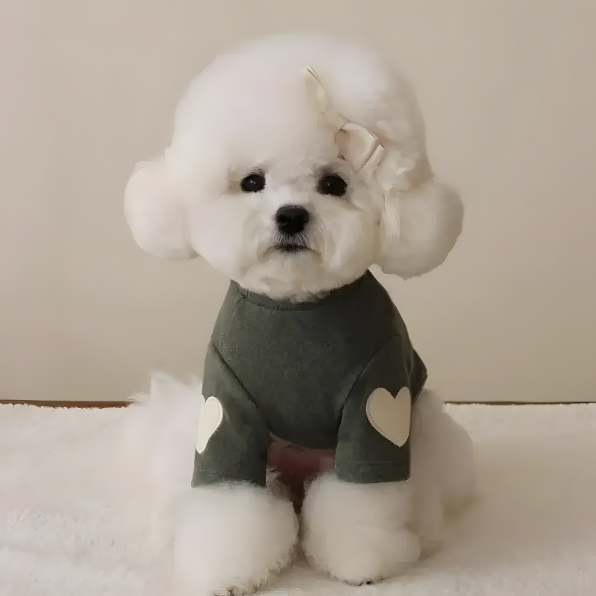 Heart Sweater for Dogs