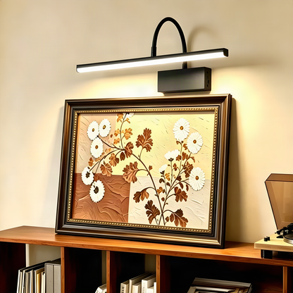Rechargeable Gooseneck Picture Light