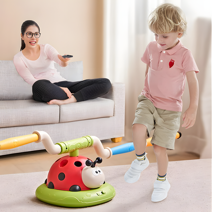 Ladybug Sensory Toy