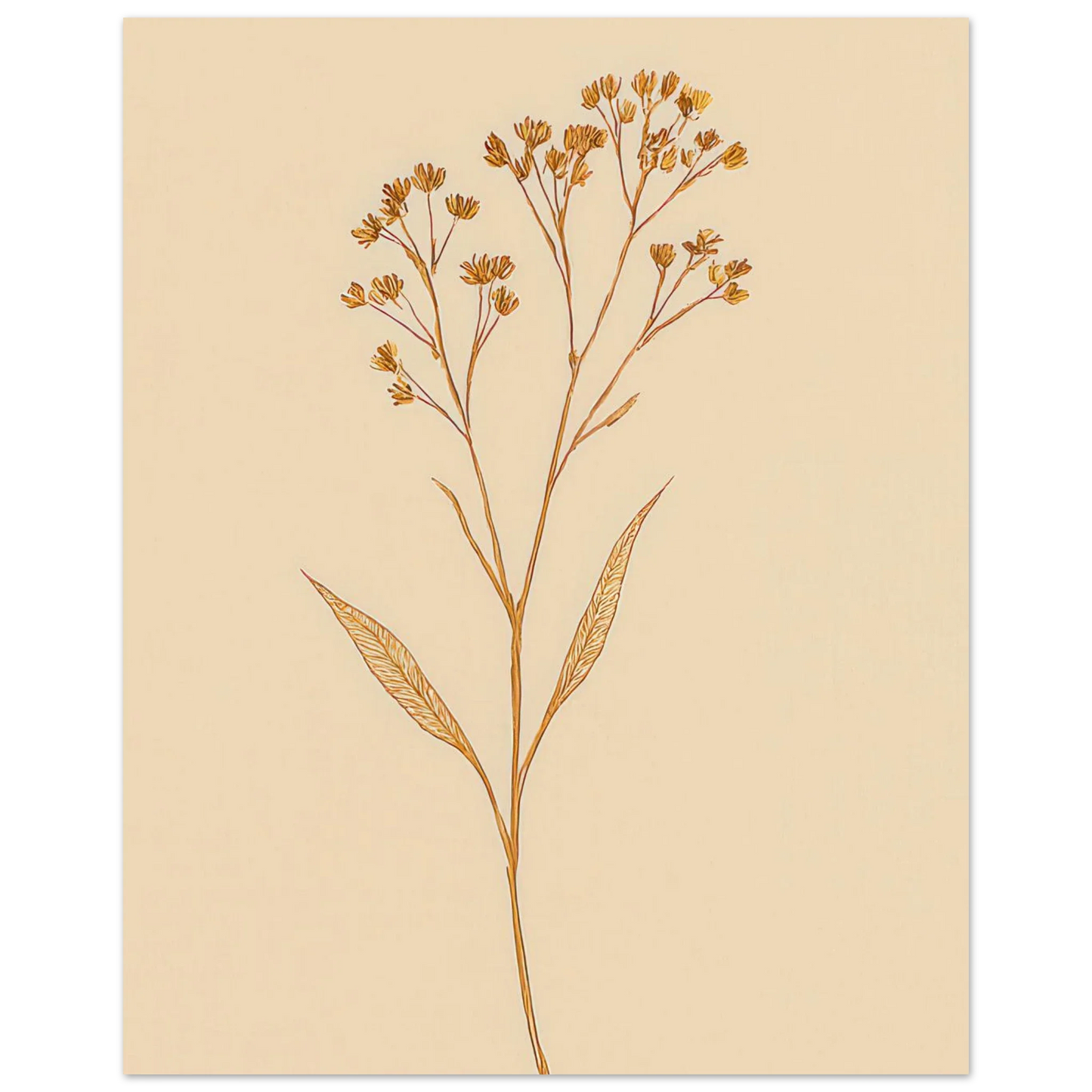 Frukter – Elegant Botanical Line Art Print on Premium Halvblankt Paper