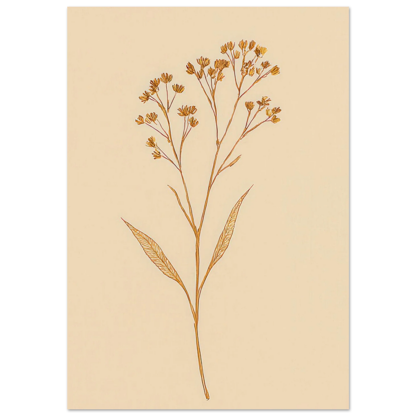 Frukter – Elegant Botanical Line Art Print on Premium Halvblankt Paper