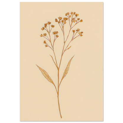Frukter – Elegant Botanical Line Art Print on Premium Halvblankt Paper