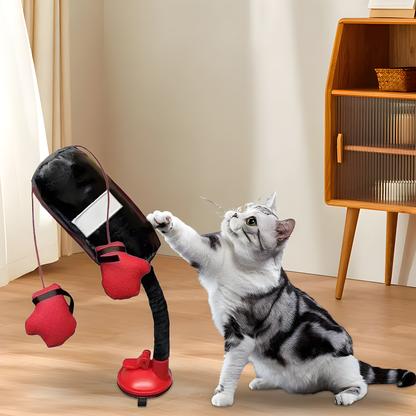 Interactive Cat Boxing Toy