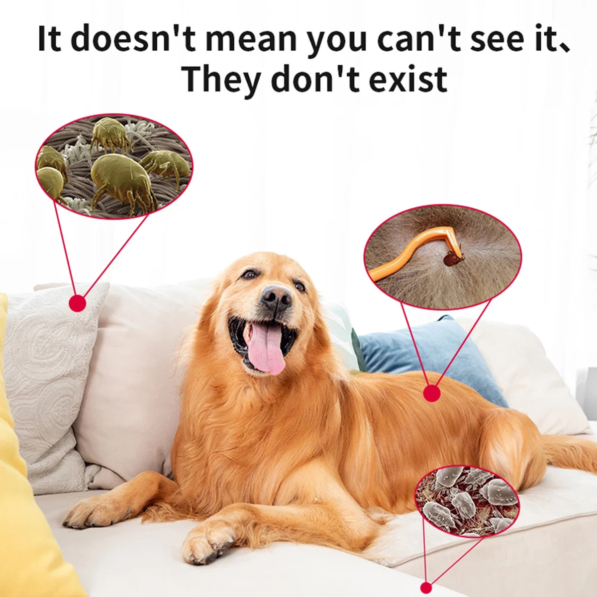 USB Ultrasonic Pet Repeller