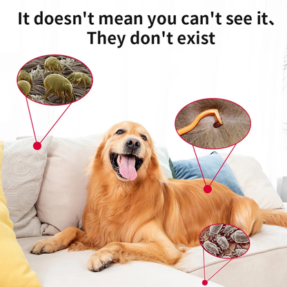 USB Ultrasonic Pet Repeller