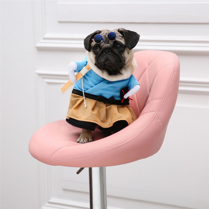 Pet Halloween Costume