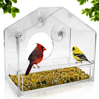 Window Acrylic Bird Feeder