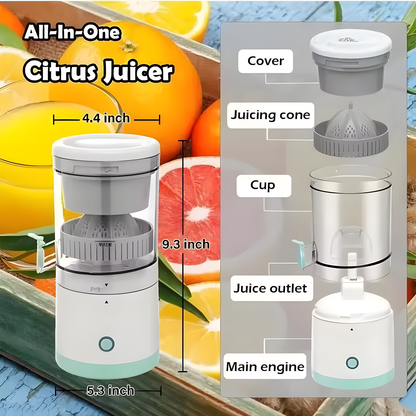 Mini Juicer Blender
