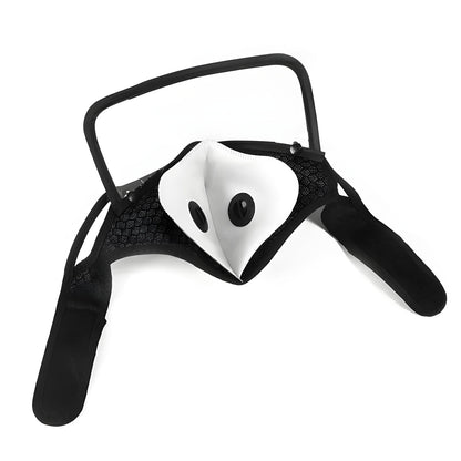 Face Mask with Goggles