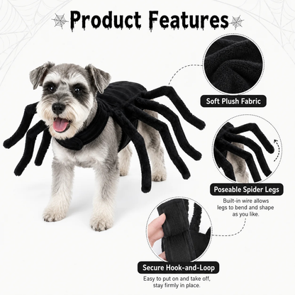 Halloween Spider Pet Costume