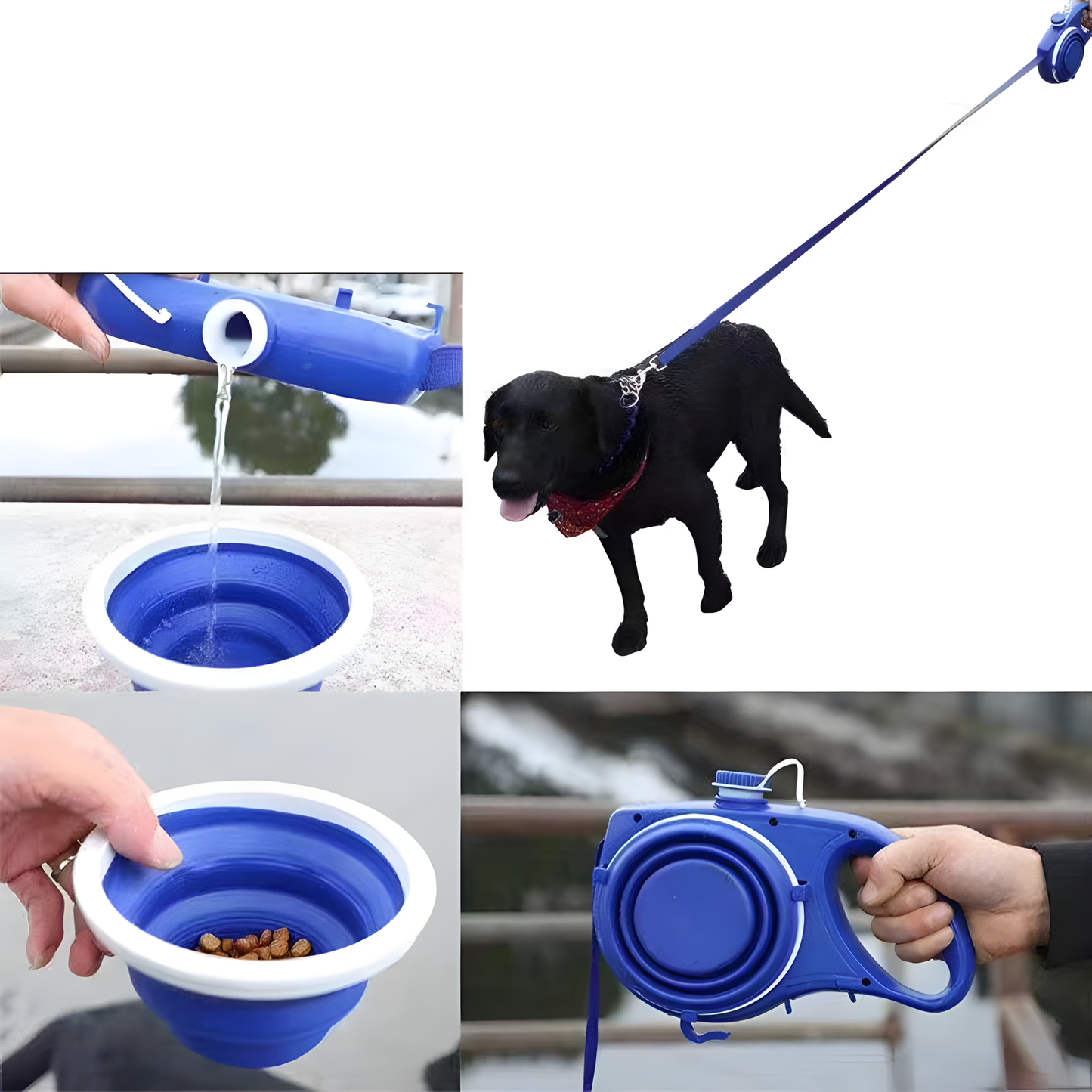 Pet Leash with Bottle