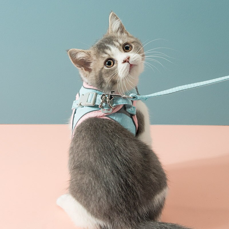 Kattvästsele koppel set