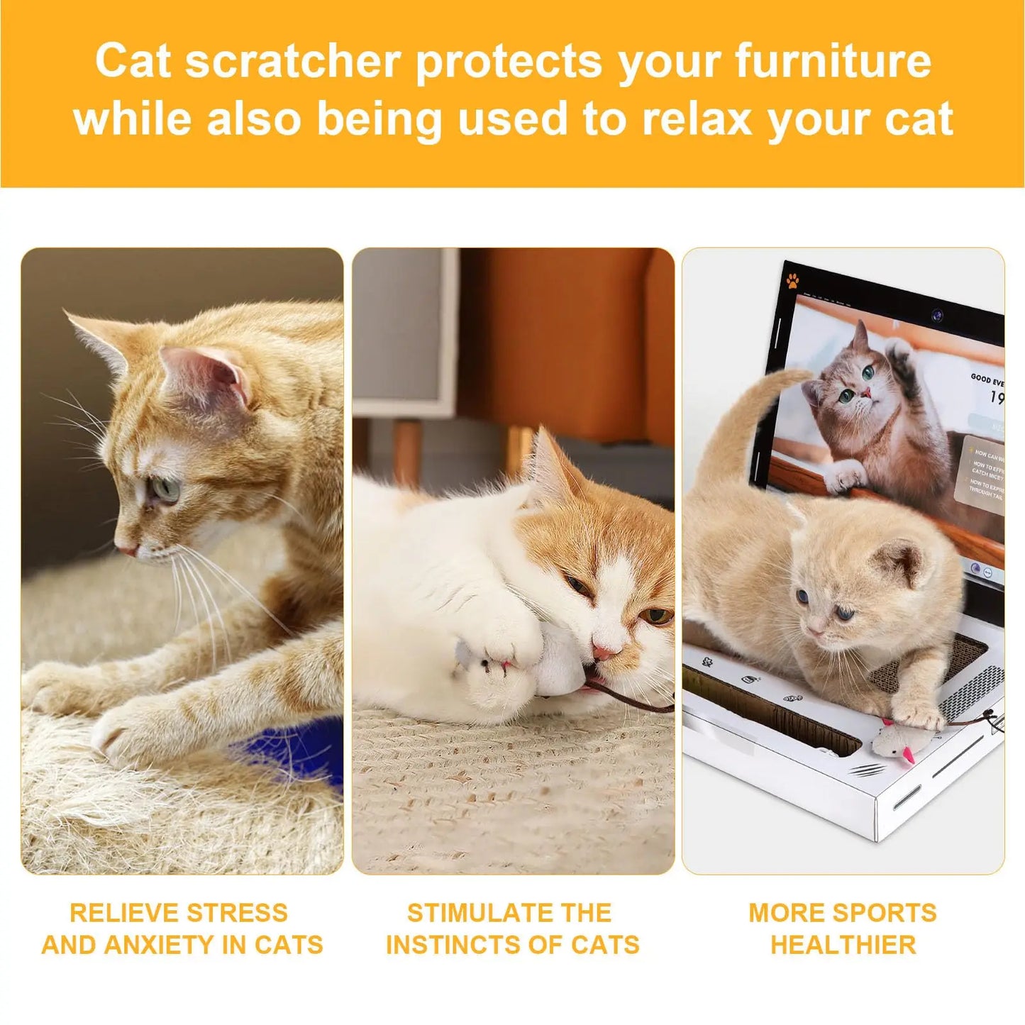 Klösbräda för katter, laptop