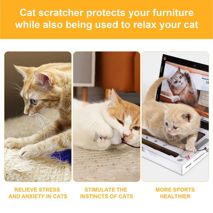 Klösbräda för katter, laptop