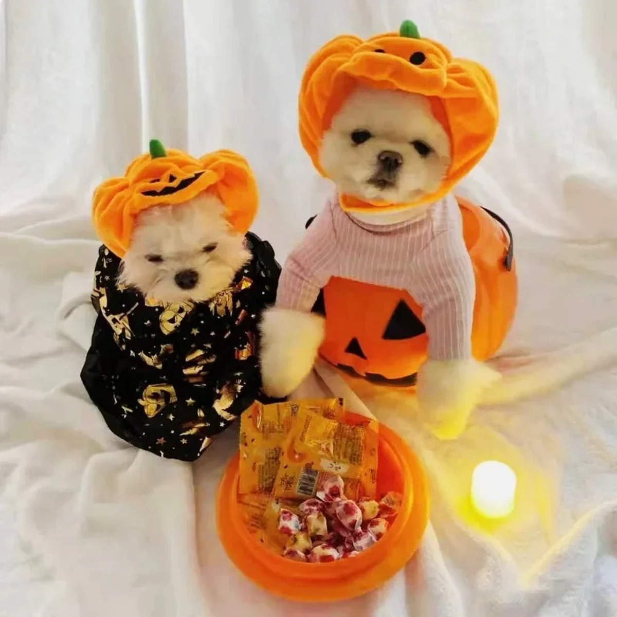 Plush Pumpkin Pet Hat