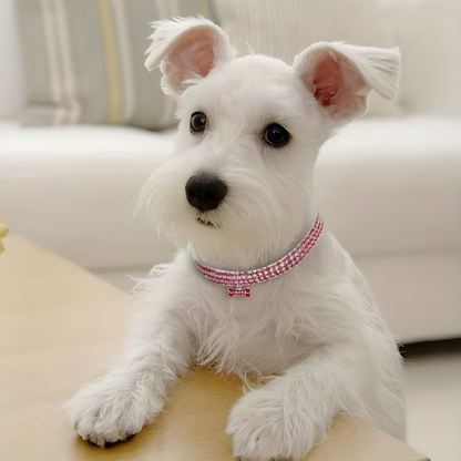 Rhinestone Pet Collar
