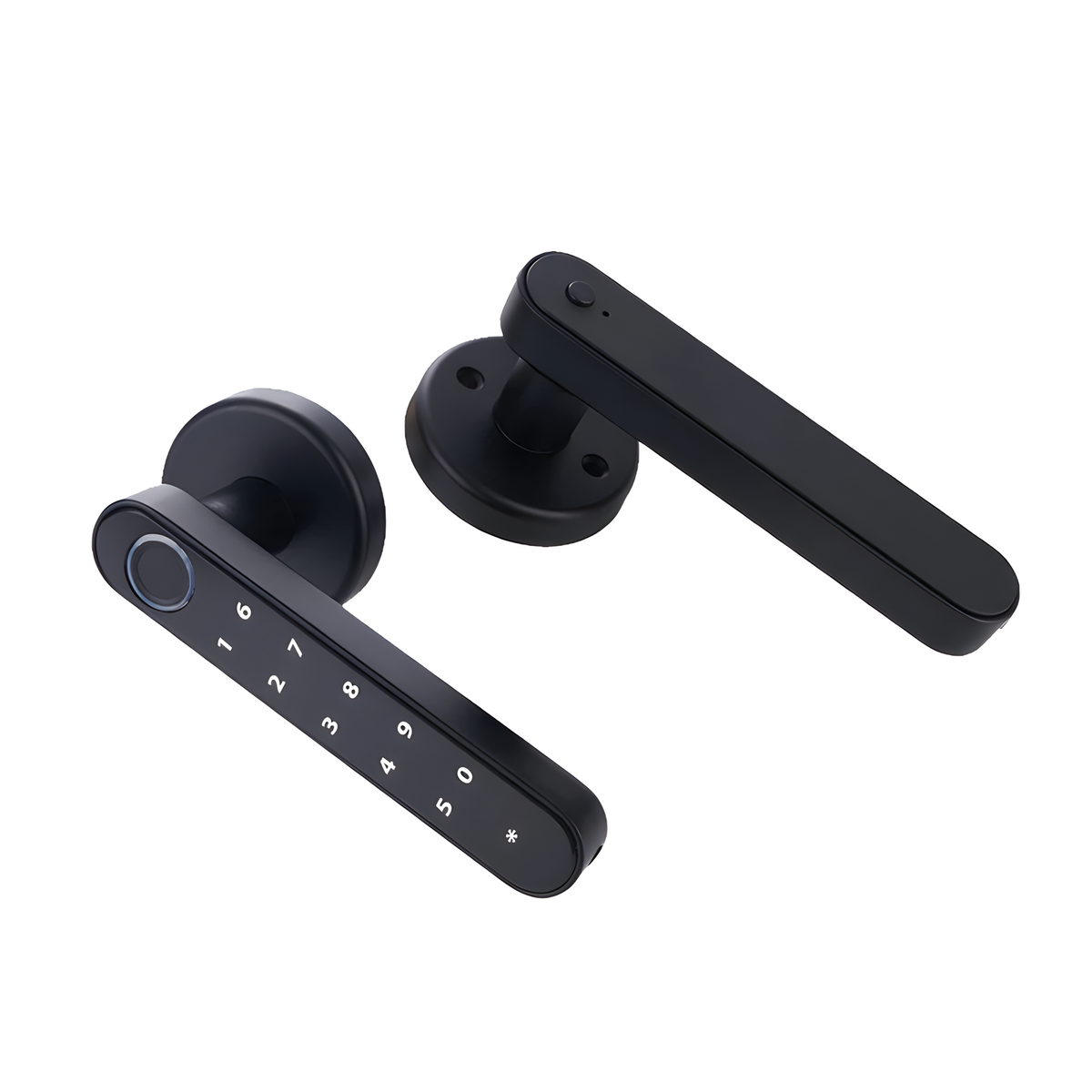 Fingerprint Lever Door Handle with Key Backup