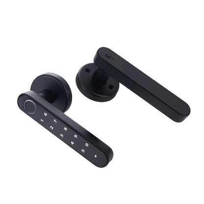 Fingerprint Lever Door Handle with Key Backup