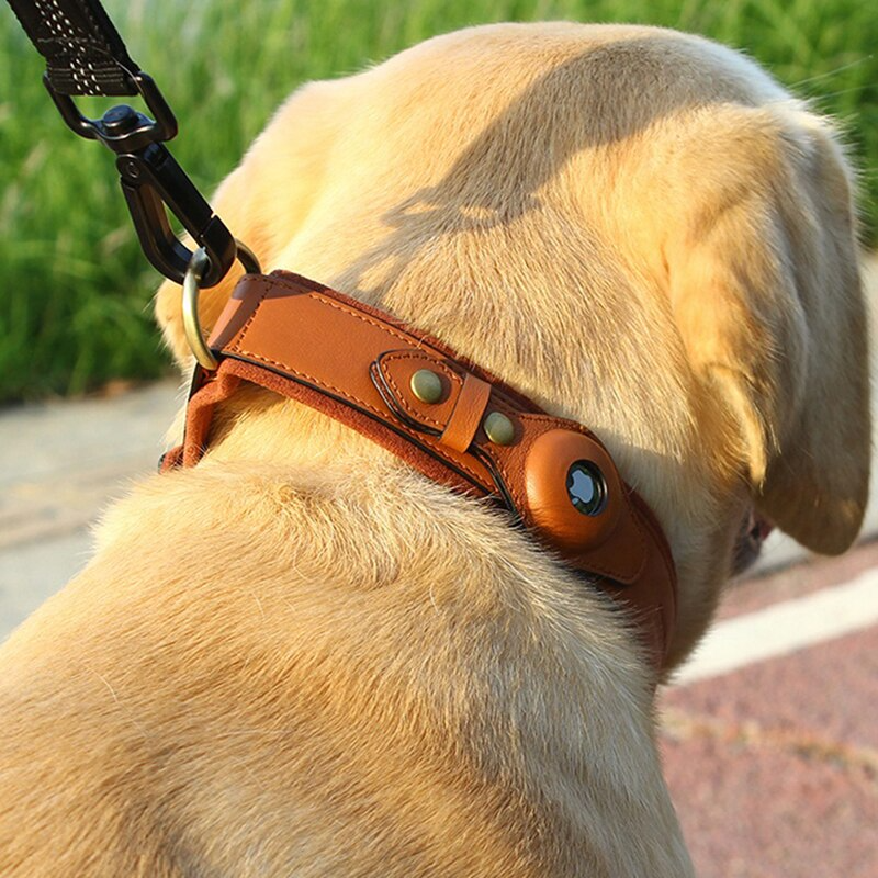 Läder AirTag Hundhalsband