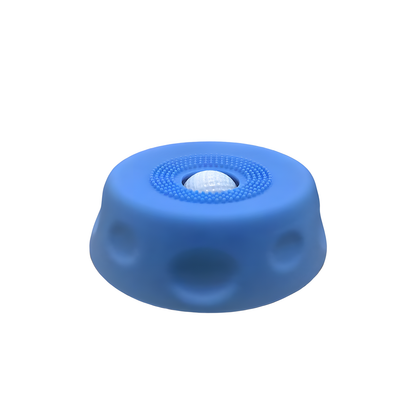 Slow Feeder Pet Bowl