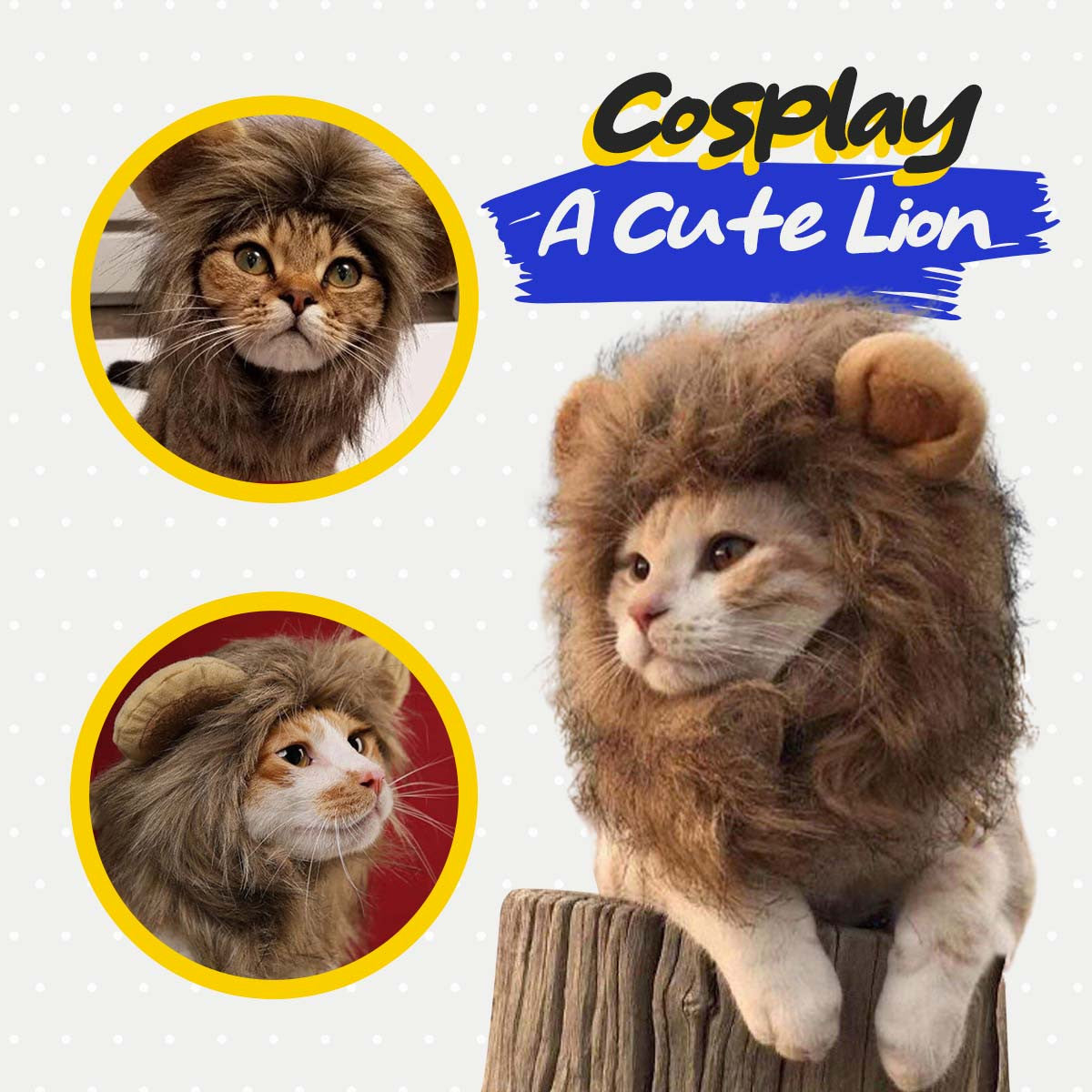 Katt Lejon Mane