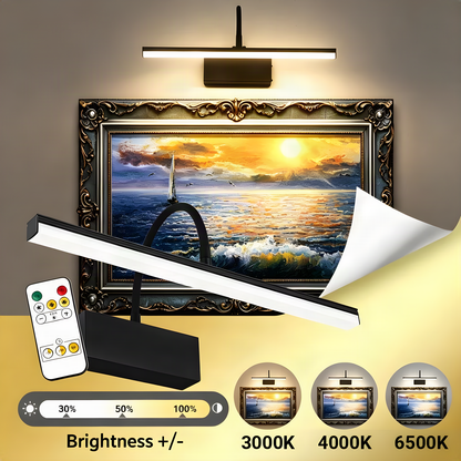 Rechargeable Gooseneck Picture Light