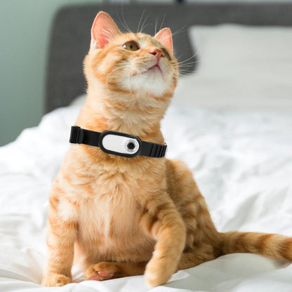 Kamerahalsband för katter och hundar